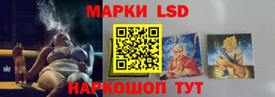 apvp Братск