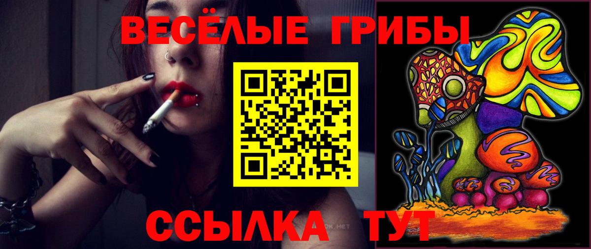 Псилоцибиновые грибы Psilocybine cubensis Грязи